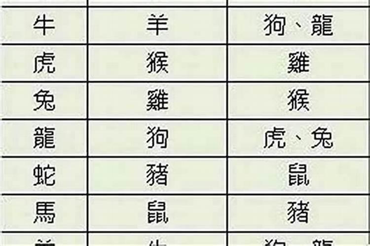 八字合婚:属牛的女人和属猪男配不配 有夫妻缘份吗