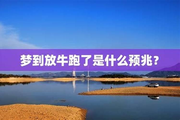 ...求得观音签七十一签,签文提到“婚姻再合”,是会离婚的意思吗...