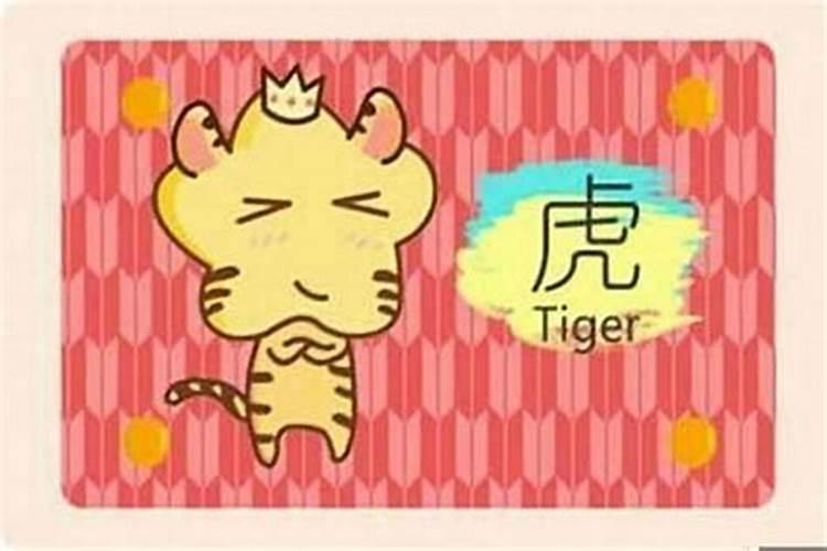 虎和兔的属相合不合