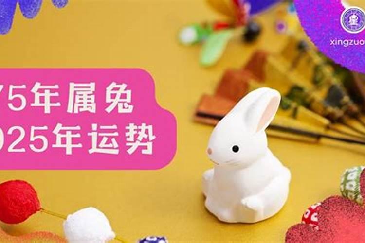 94年属狗的女人性格特征