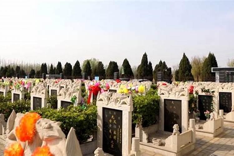 清明节上坟自己没时间去能找家人带吗？