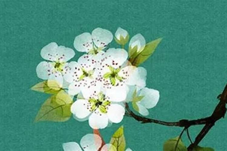 清明节前后出生的孩子好吗