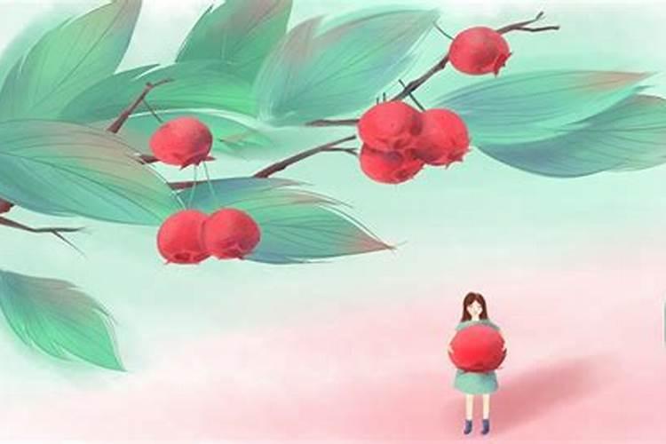 冬至和夏至的区别