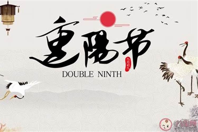 重阳节的心得感言