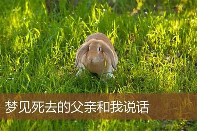 梦见死去的父亲和前男友的预兆