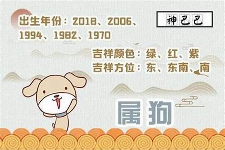 属狗人2025年及未来运势