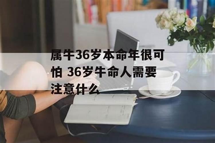 寒衣节烧纸的讲究禁忌 寒衣节烧纸是白天还是晚上