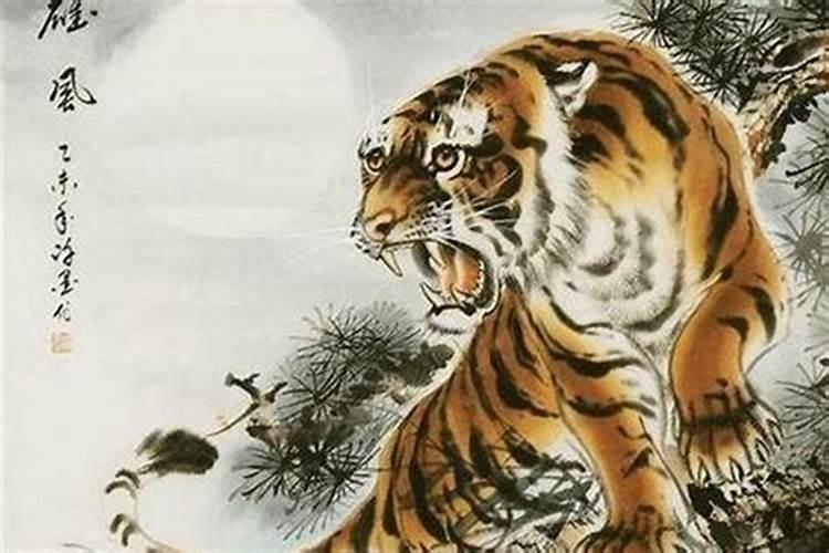 生肖虎1986年2025年运势如何 生肖虎1986年2025年全年运势