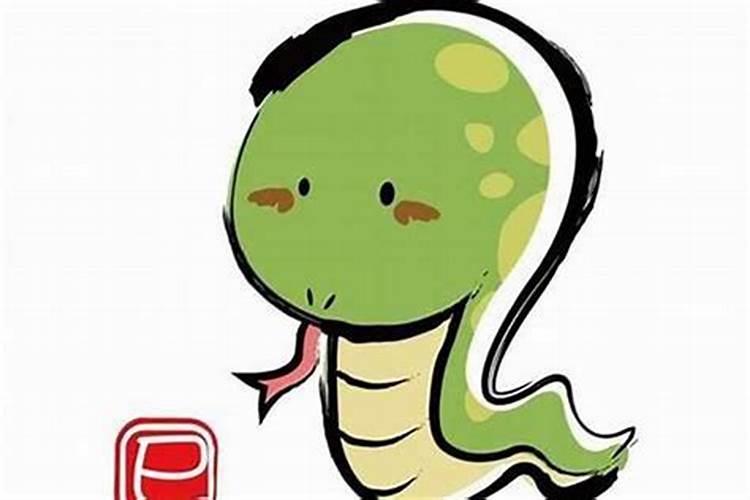 属蛇人提升财富运势的方法