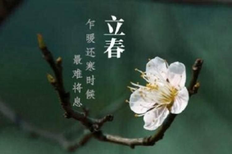 立春贴春联好还是除夕贴好