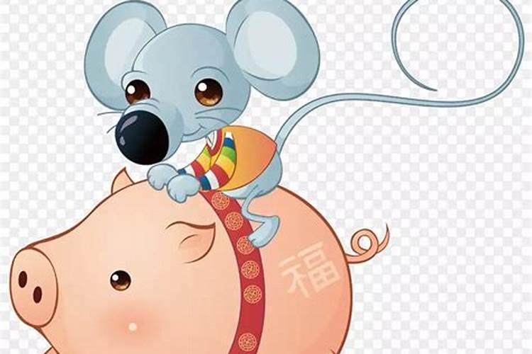 猪和鼠相配婚姻如何 积极明朗相处融洽