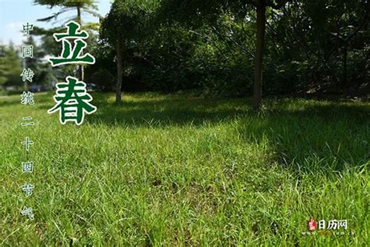 夫妻都犯太岁的后果
