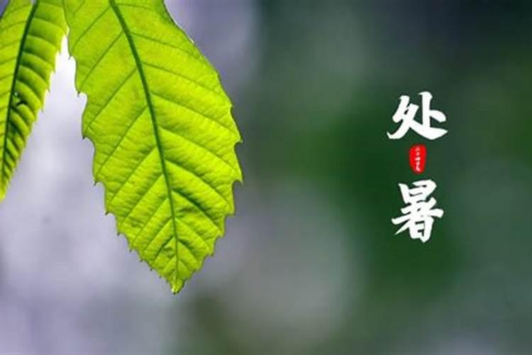 清明前三天是指哪一天