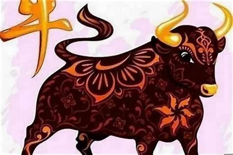 本命年运势不顺该怎么改变
