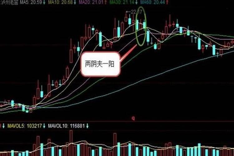 生肖鸡2025年运势及运程是怎样的