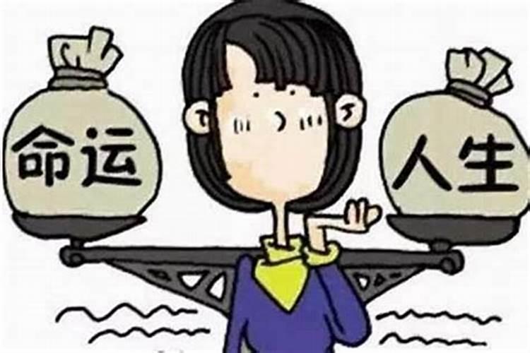 八字排盘应该怎么看
