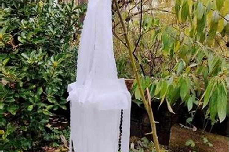 中秋节是阳历还是阴历的节日？八月十五日为什么月圆