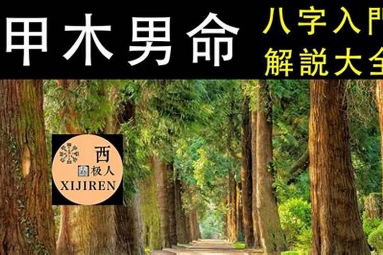 5月25日出生的男孩命运