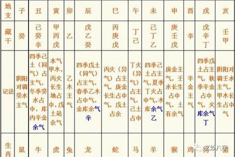 藏干食神算食神吗