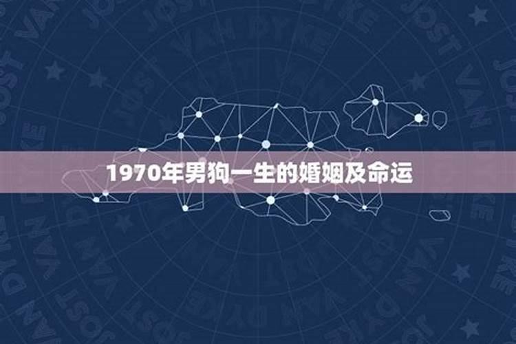 1970年属狗桃花运 属狗70年今年桃花怎么样