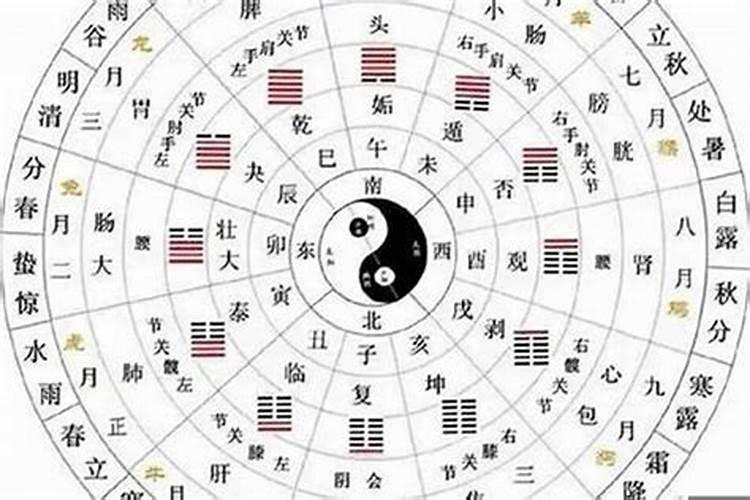 2025年1978属马女的全年运势