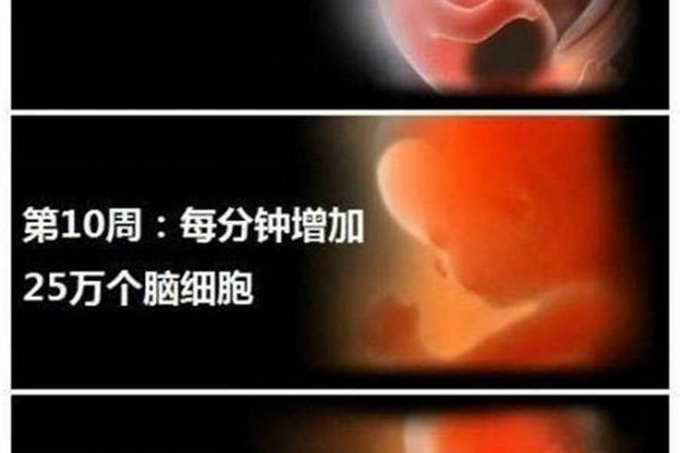 自然流产再佛教算什么 从佛教来说 自然流产是为什么