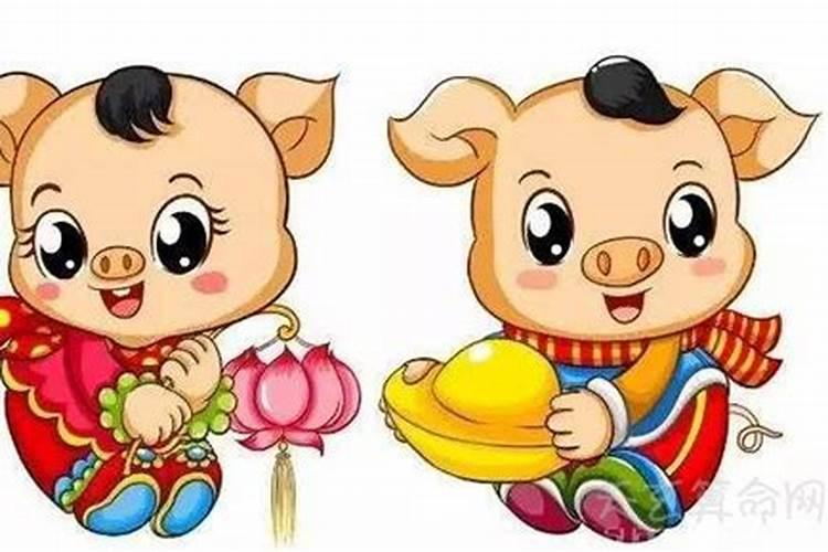 属猪男2025年运势及运程及每月运势