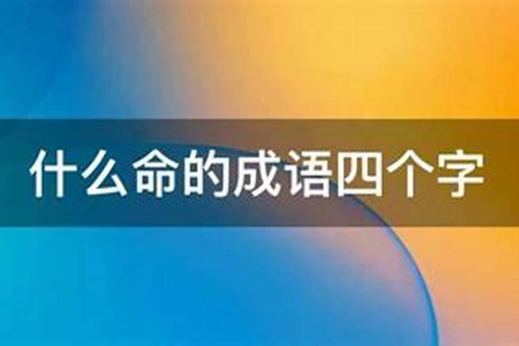 安于命下一句是什么