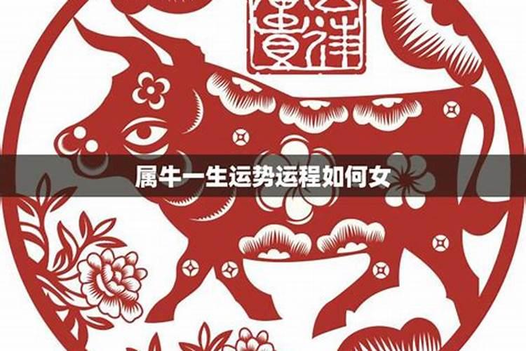 重阳节出生的纯阳女 天生运势强悍？