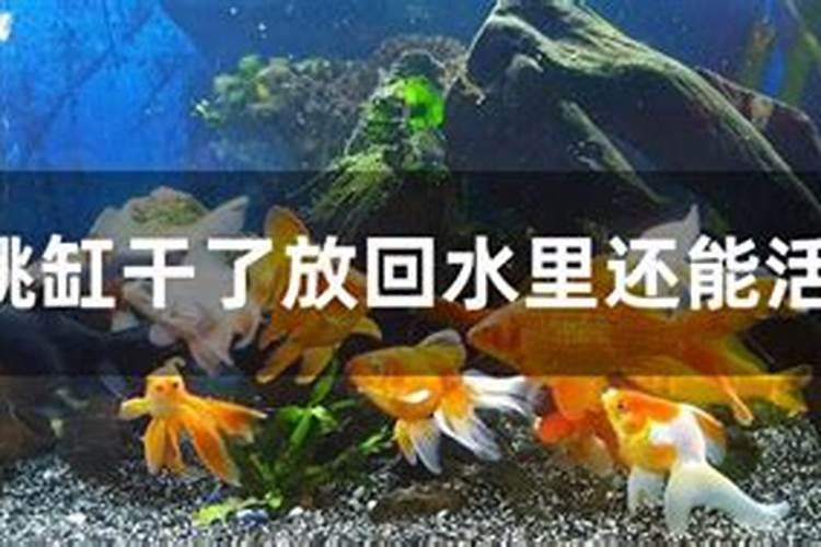 重阳节出生的一生坎坷 重阳节出生有什么说法？