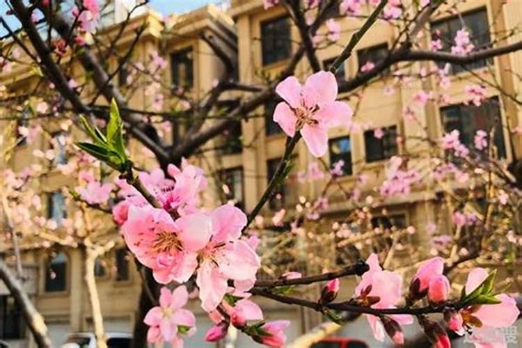 盂兰盆节禁忌须知,不守禁忌小心遇到鬼