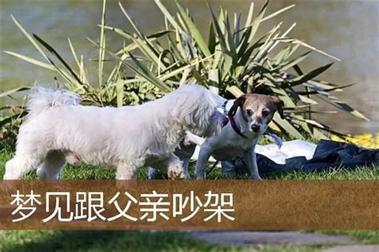 梦见和去世的父亲吵架