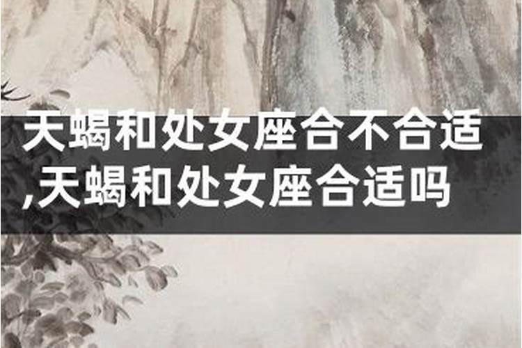 属兔人2025年综合运势