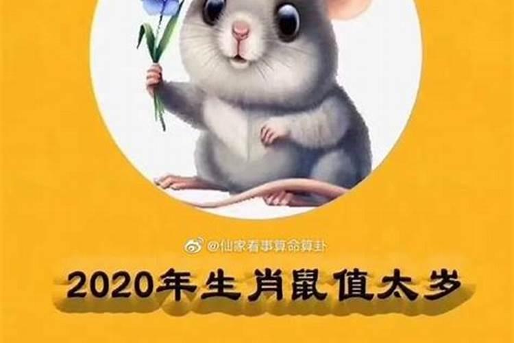 梦见与妻子吵嘴