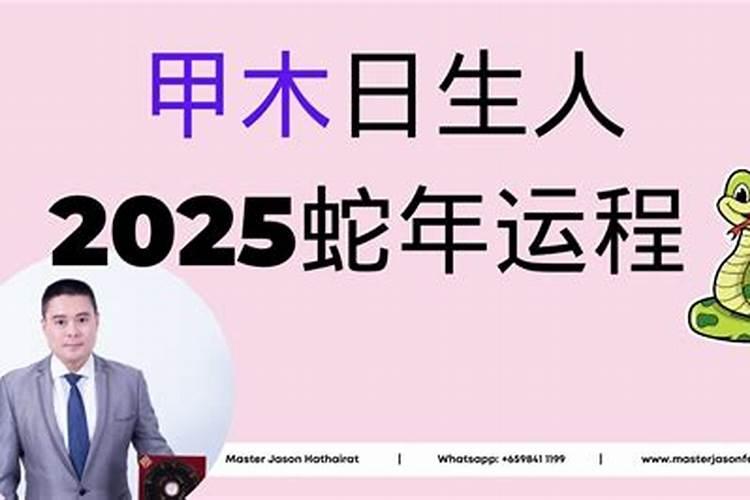 春节习俗湖南益阳作文500字