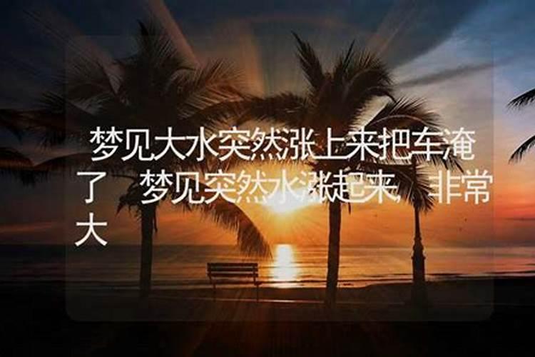 舞动青春手游姻缘树怎么玩 舞动青春手游姻缘树玩法