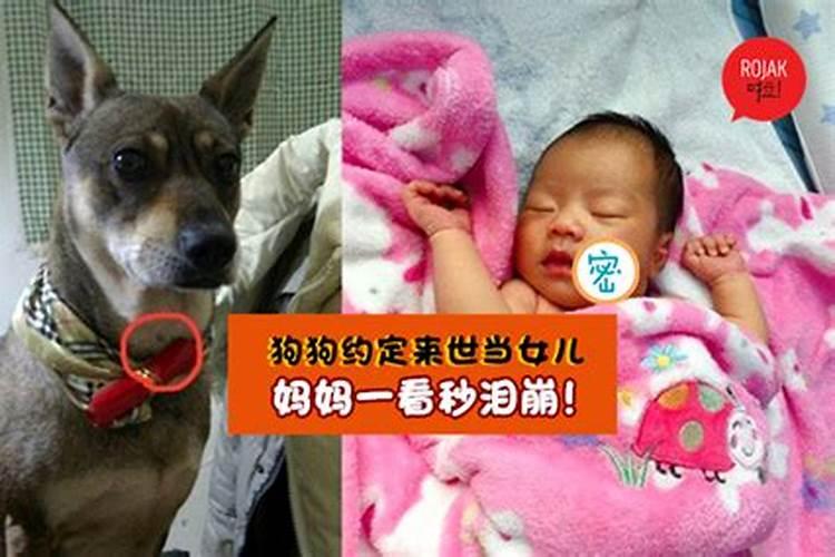 孩子没出生打掉会投胎吗？