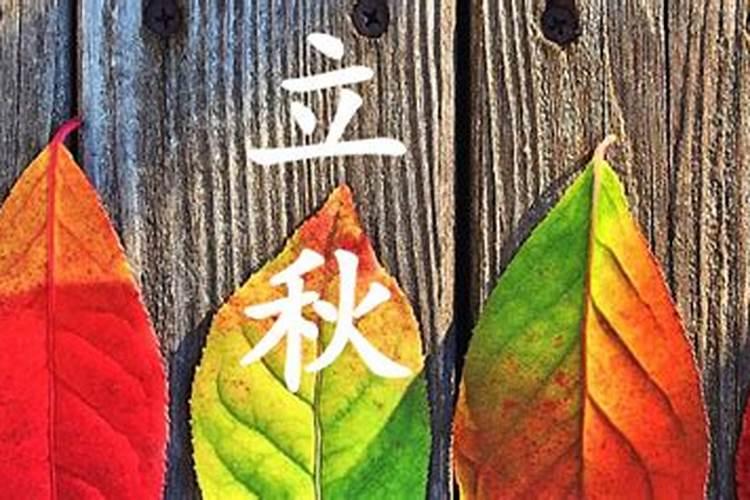 立秋以后是什么节气
