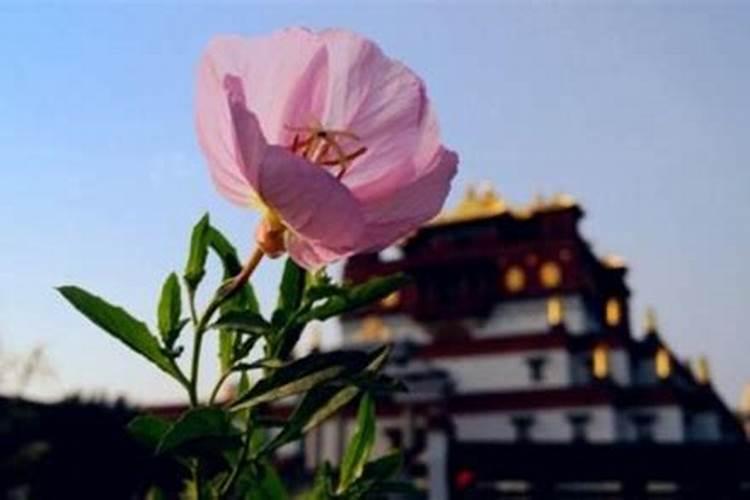 八字算命可信吗