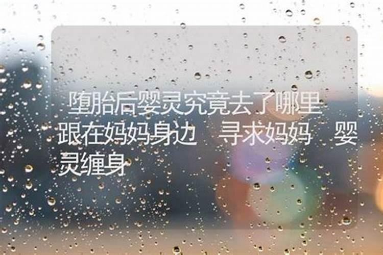 冬的习俗是什么