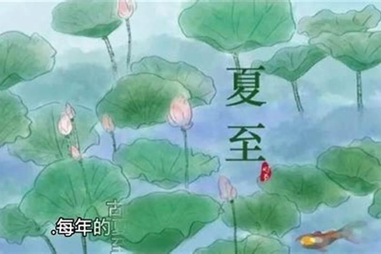 1982年属狗人未来十年的运势