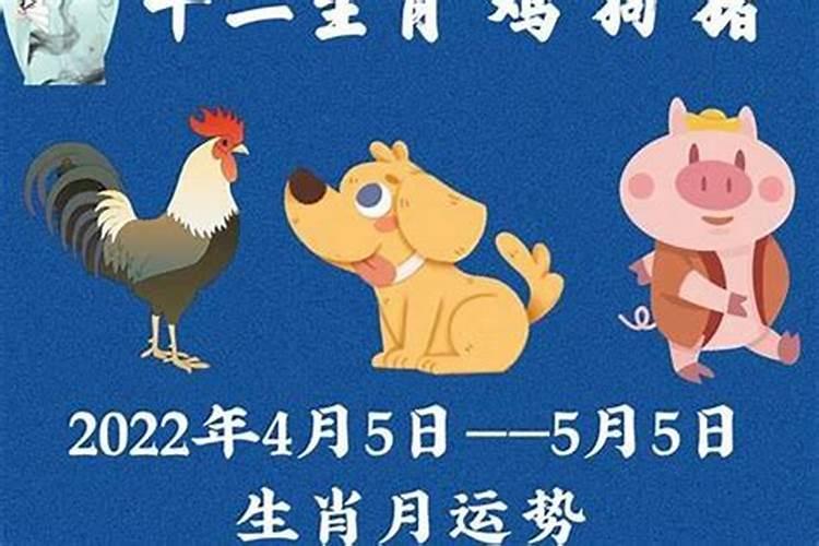 巨匠详解:属龙2023年全年运势运程及每月运程？