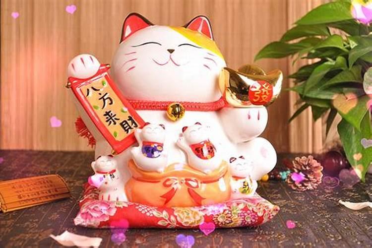 什么属相养猫能旺财 猫适合什么属相的人养
