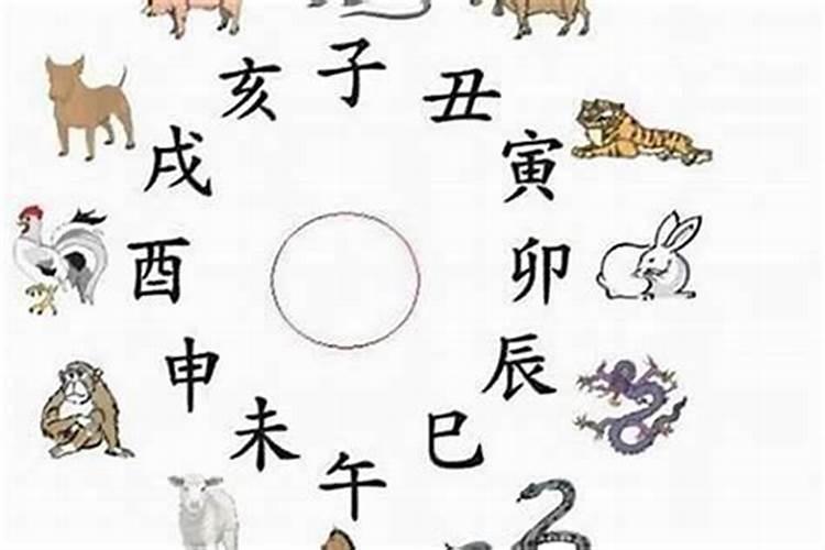 养猫镇宅原因是什么 什么生肖的养旺财