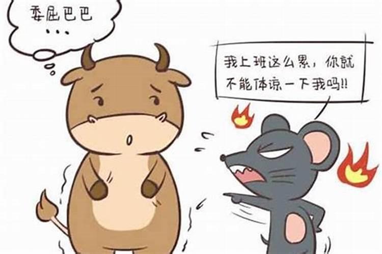 女属金羊,男属火马能婚配吗？