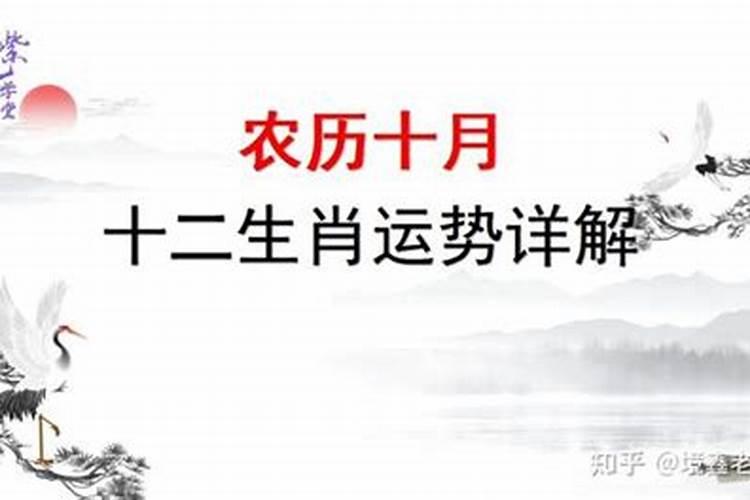 牛和虎在一起结婚好不好,牛和虎,结婚好不好