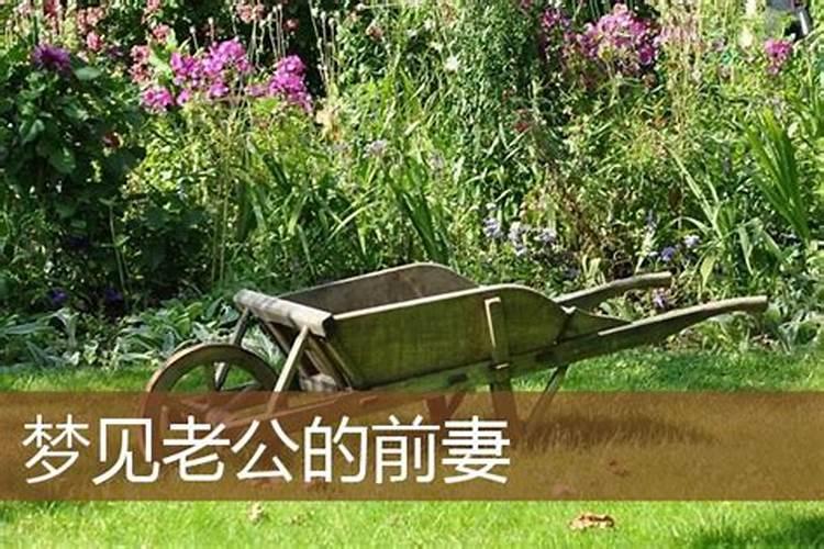 梦见现任老公的前妻的预兆