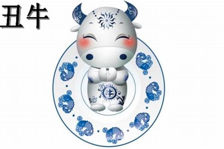 2024今年属牛多少岁 2024年属牛的多大了