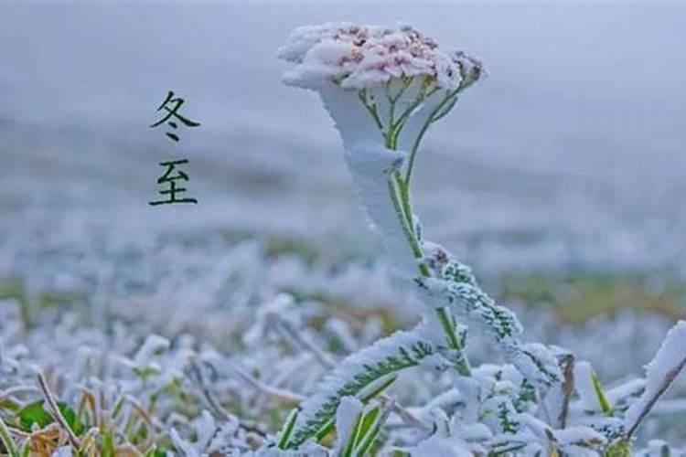 八月十五当天走亲戚可以吗