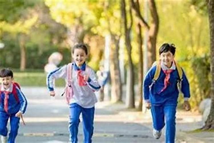 84年的鼠女2025年运势和财运怎么样